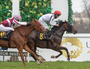 img: Shami Al Khalediah z miejsca do miejsca