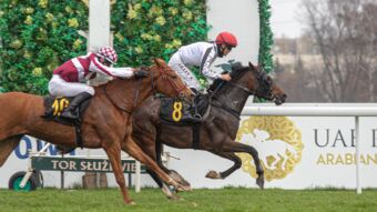 img: Shami Al Khalediah z miejsca do miejsca