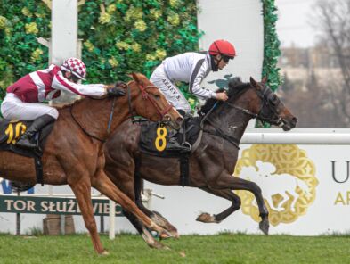 img: Shami Al Khalediah z miejsca do miejsca