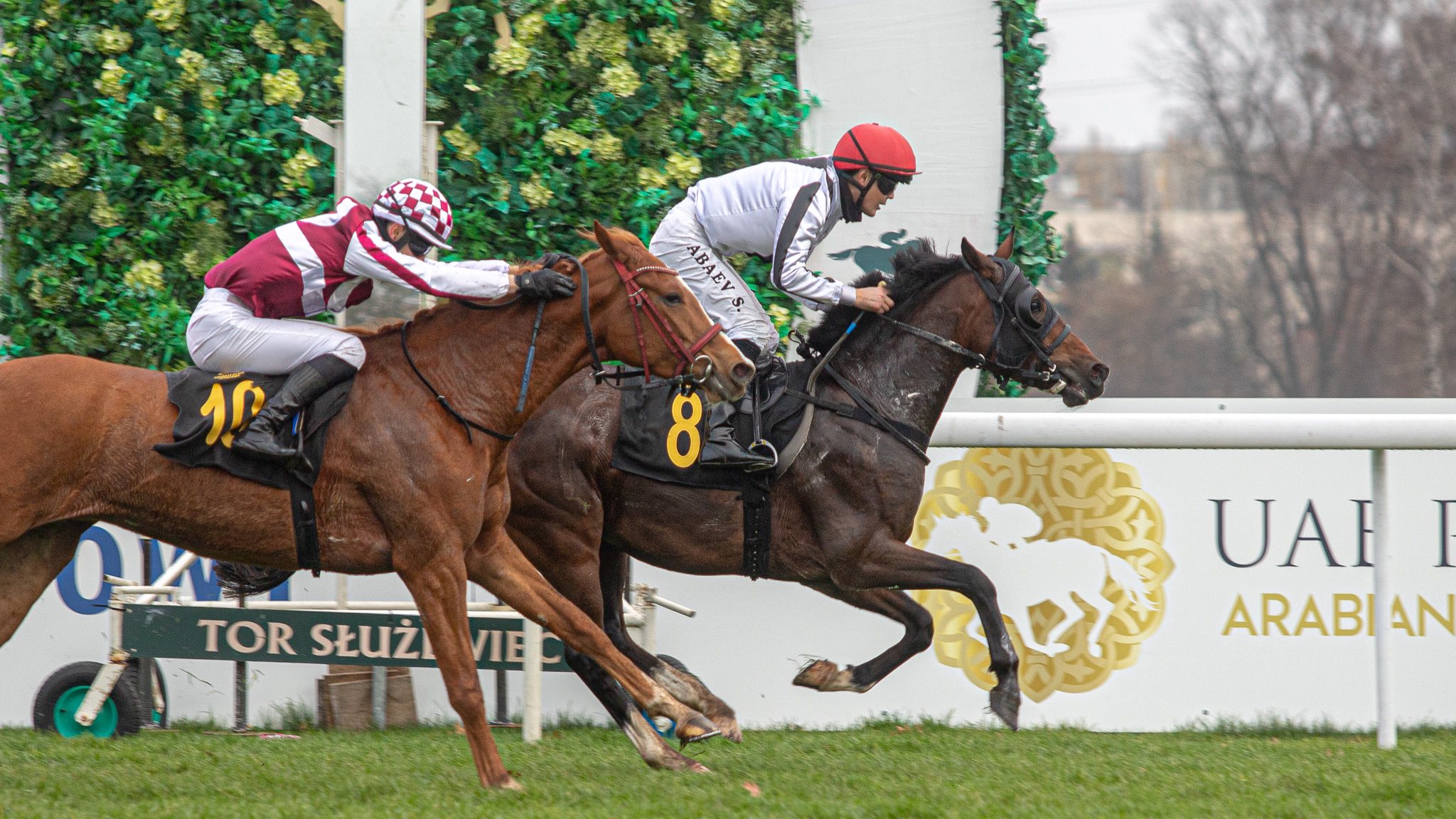 img: Shami Al Khalediah z miejsca do miejsca