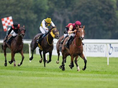 img: Wagi z Partynic w Nagrodzie Cometa i pojedynek na szczycie w Nagrodzie Strzegomia