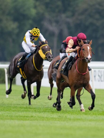 img: Wagi z Partynic w Nagrodzie Cometa i pojedynek na szczycie w Nagrodzie Strzegomia