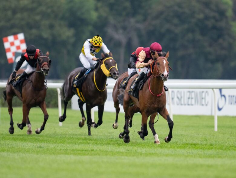 img: Wagi z Partynic w Nagrodzie Cometa i pojedynek na szczycie w Nagrodzie Strzegomia