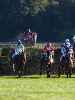 img: Soldier In Milan w defiladowym stylu wygrał Irish Grand National