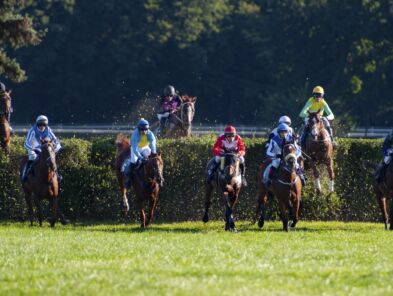 img: Soldier In Milan w defiladowym stylu wygrał Irish Grand National