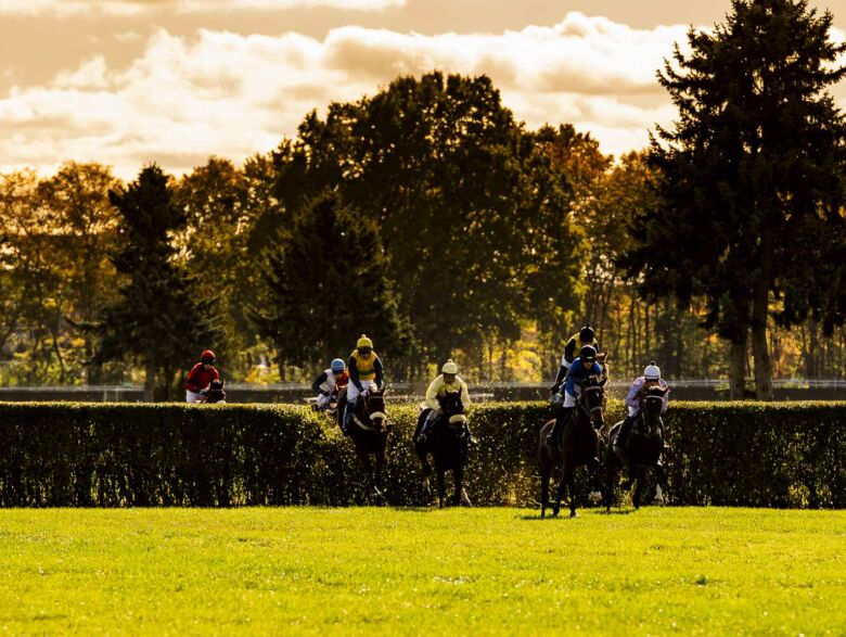 img: Bomba w górę! W niedzielę ruszają wrocławskie wyścigi