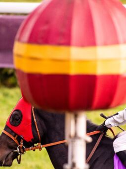 img: Giganci z Hongkongu kontra reszta świata