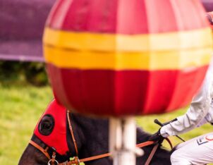 img: Giganci z Hongkongu kontra reszta świata