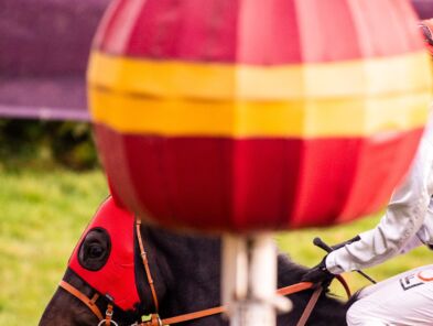 img: Giganci z Hongkongu kontra reszta świata