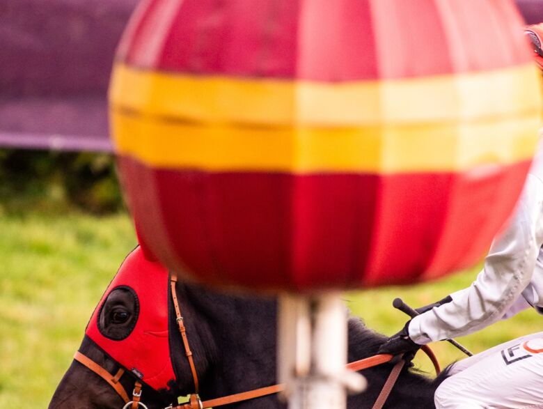 img: Giganci z Hongkongu kontra reszta świata