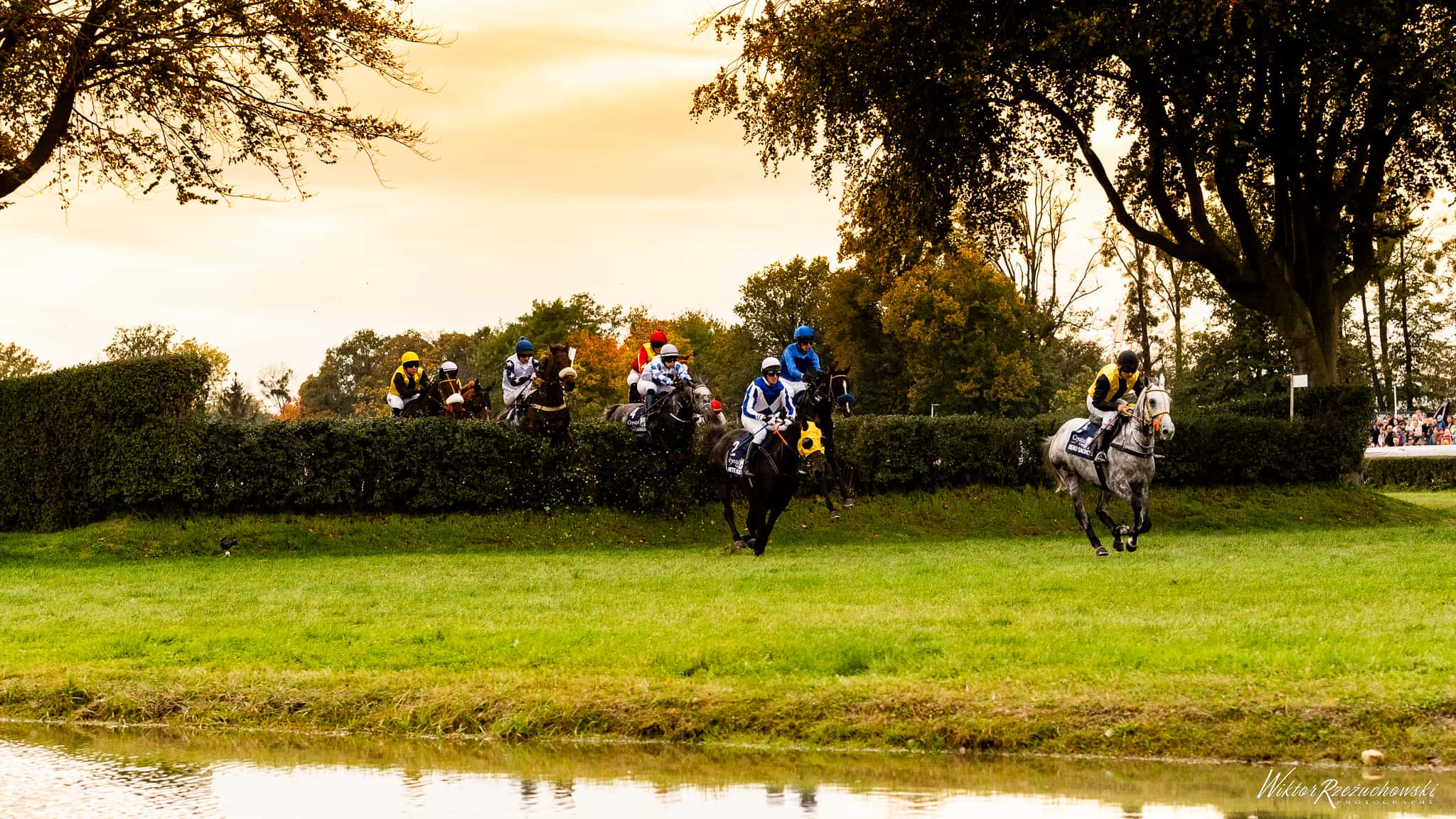 img: Faworyt I Am Maximus zwycięzcą Grand National – po raz drugi