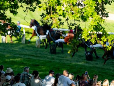 img: Wrocławska majówka z kłusakami