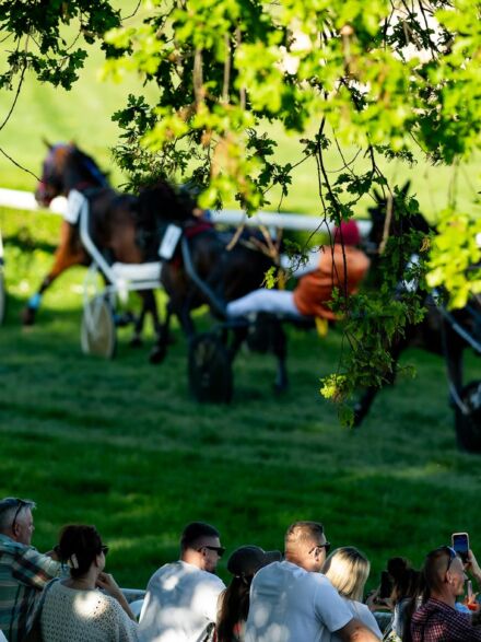 img: Wrocławska majówka z kłusakami