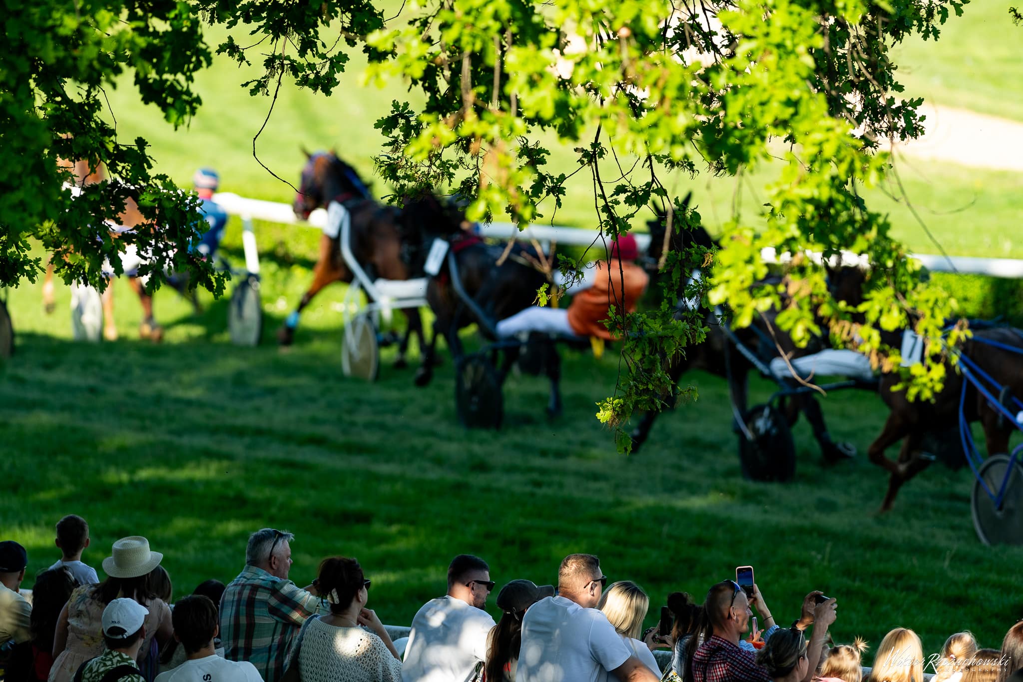 img: Wrocławska majówka z kłusakami