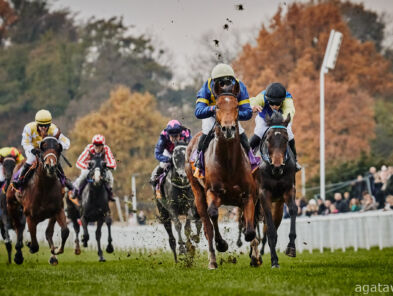 img: Ladies Day: Sportowe emocje w eleganckim stylu