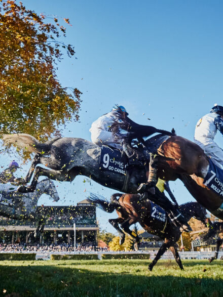 img: Po czterech latach Sel Jem znów najlepszy w Grand Steeple-Chase de Paris