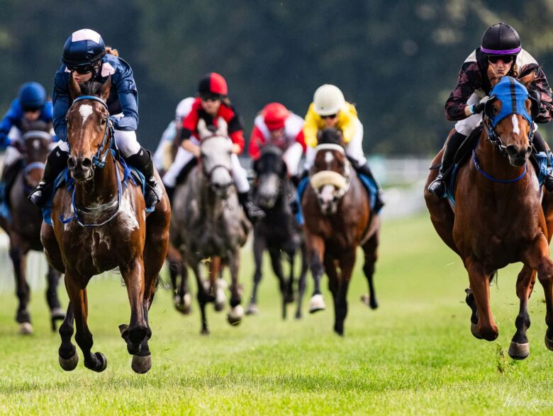 img: Fuks Golden Tempo wygrał Kentucky Derby, Cherie DeVaux zapisała nowy rozdział w historii słynnej gonitwy