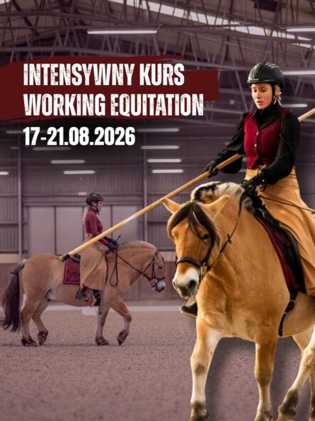 img: Intensywny Kurs Working Equitation