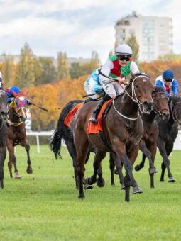 img: Zwycięzca Criterium Shamadram rozpoczyna sezon w Nagrodzie Jaroszówki