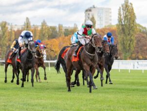img: Zwycięzca Criterium Shamadram rozpoczyna sezon w Nagrodzie Jaroszówki