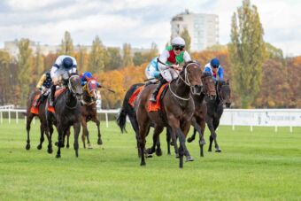 img: Zwycięzca Criterium Shamadram rozpoczyna sezon w Nagrodzie Jaroszówki