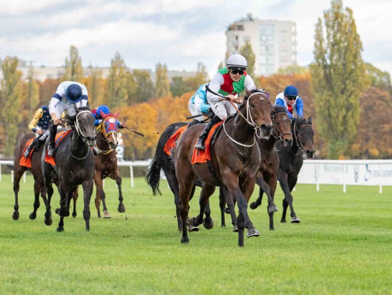 img: Zwycięzca Criterium Shamadram rozpoczyna sezon w Nagrodzie Jaroszówki