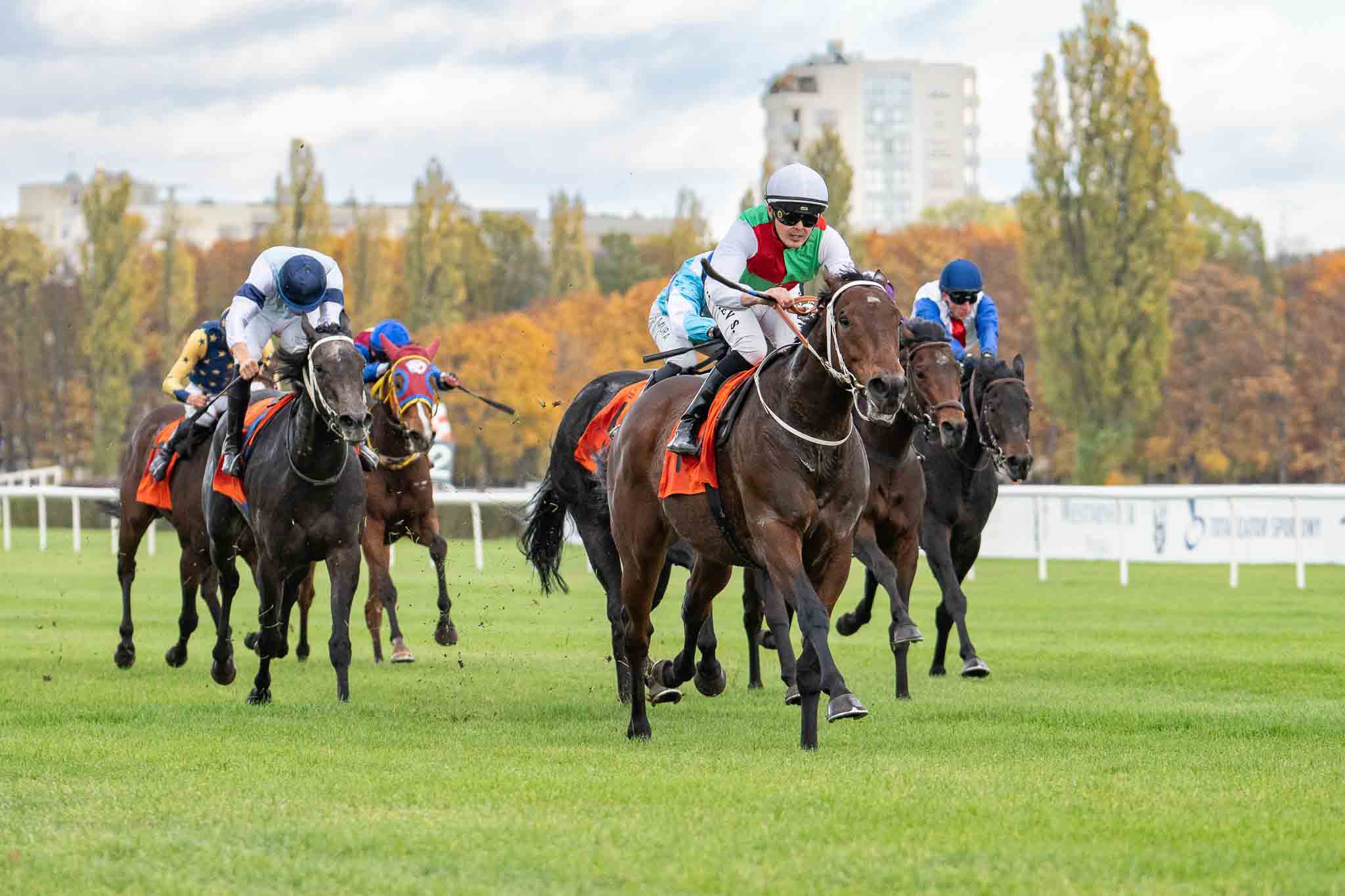 img: Zwycięzca Criterium Shamadram rozpoczyna sezon w Nagrodzie Jaroszówki