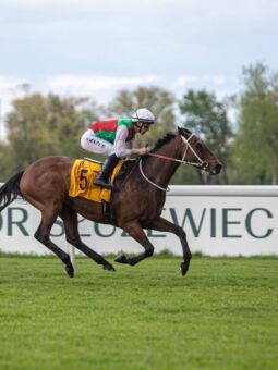 img: Zwycięski sprint Shamadrama