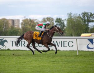 img: Zwycięski sprint Shamadrama