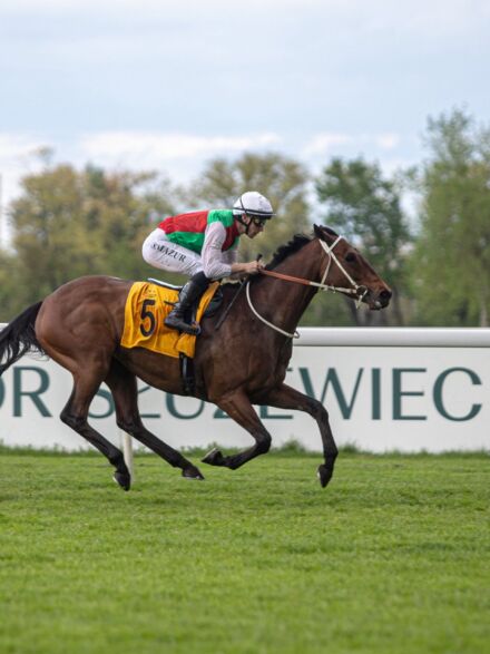 img: Zwycięski sprint Shamadrama