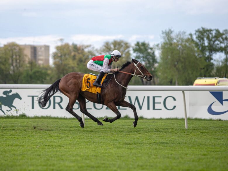 img: Zwycięski sprint Shamadrama