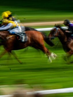 img: Bow Echo i True Love bohaterami klasyków w Newmarket