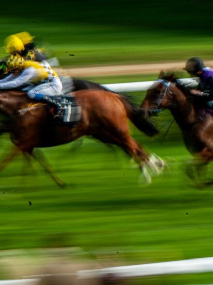 img: Bow Echo i True Love bohaterami klasyków w Newmarket