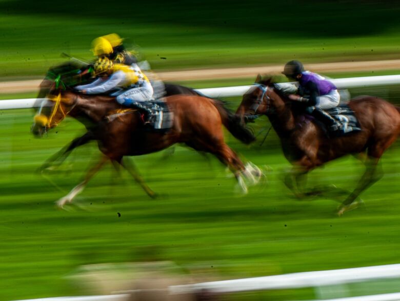 img: Bow Echo i True Love bohaterami klasyków w Newmarket