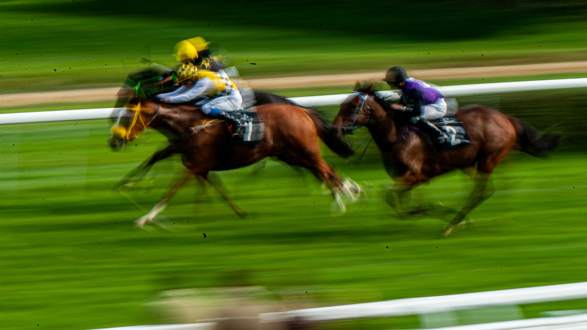 img: Bow Echo i True Love bohaterami klasyków w Newmarket
