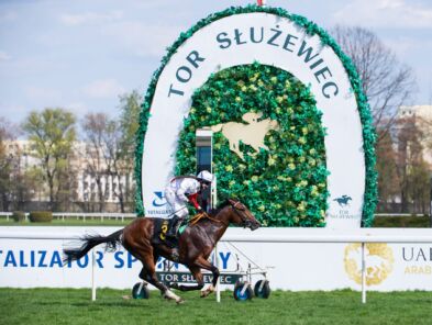 img: Niedziela na Służewcu: Partynickie szanse