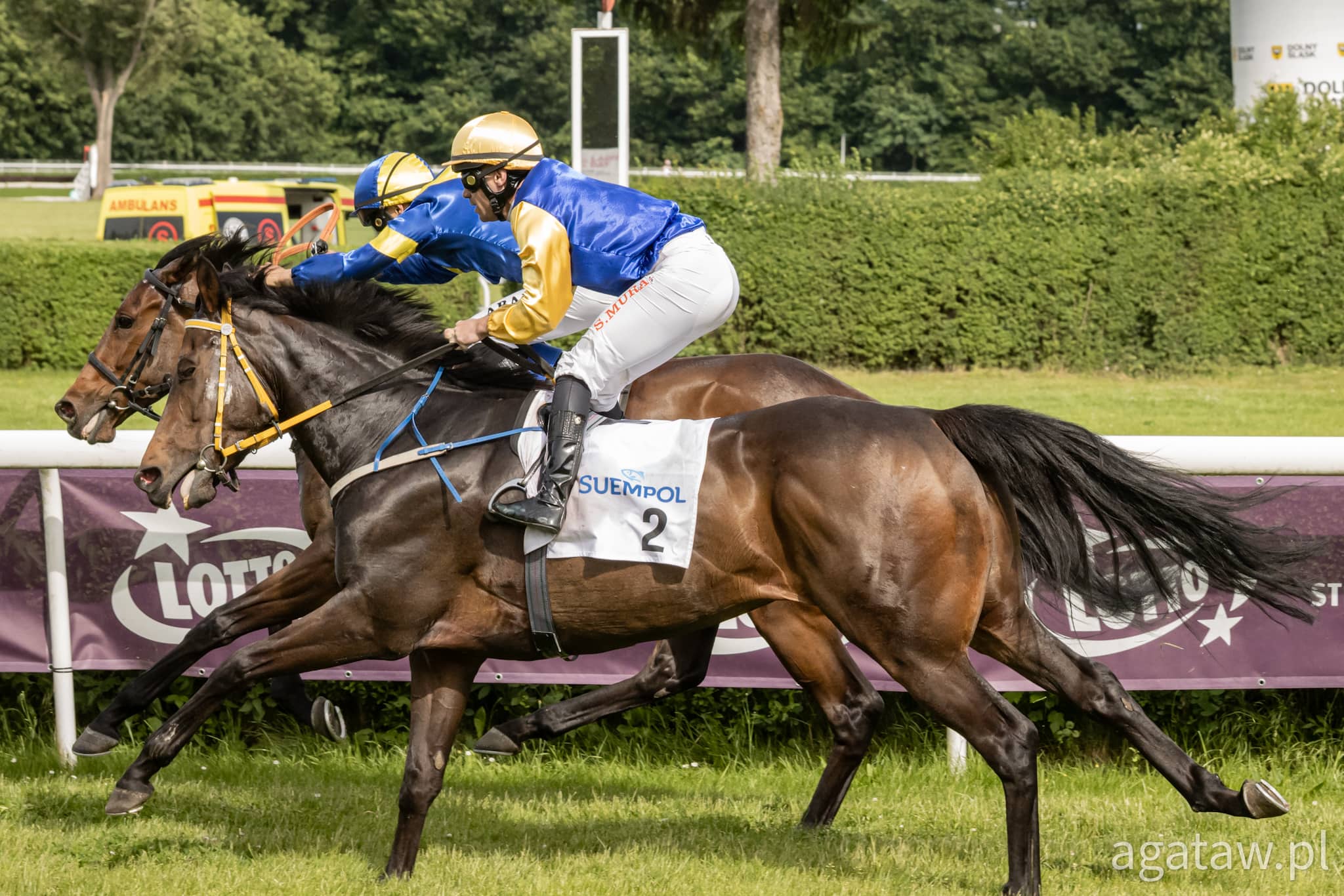 img: Nagroda Konstelacji dla faworytki, dreszczowiec we Wrocławska Trial