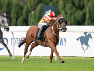 img: Araby w centrum uwagi