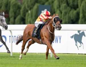 img: Araby w centrum uwagi