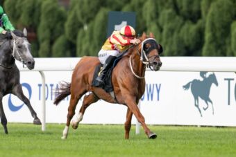 img: Araby w centrum uwagi