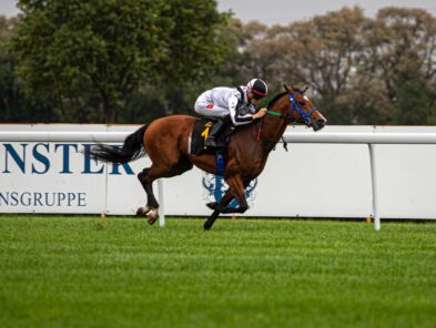img: W Szwecji jak u siebie – Wasmy Al Khalediah znów wygrał UAE President Cup