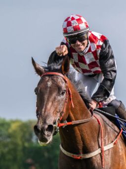 img: Gwiazda Derby – Time For The Star