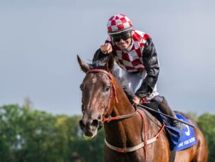 img: Gwiazda Derby – Time For The Star