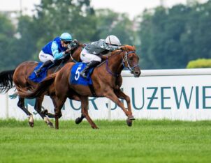 img: Wyścigi wracają na Służewiec