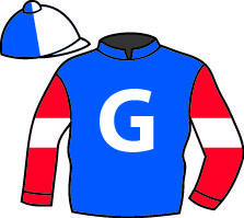 img: stallgatto.jpg