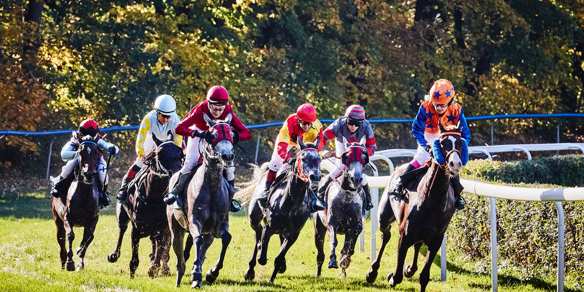 img: Horse races