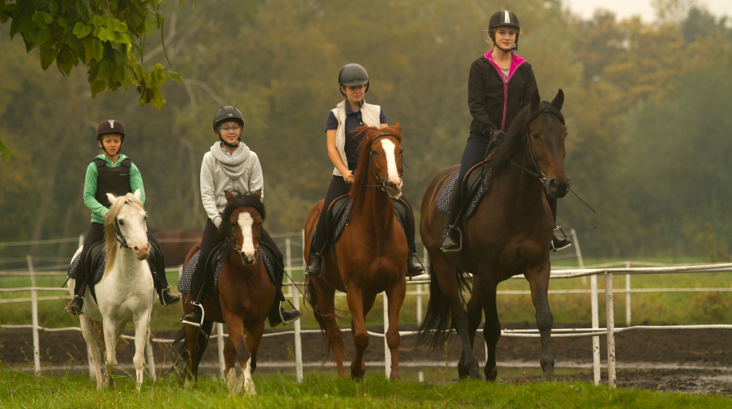 img: Group lunge lessons (the beginning of an independent ride)