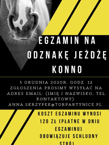 img: Wrocławskie Halowe Mikołajkowe Zawody Regionalne i Towarzyskie w Skokach przez Przeszkody