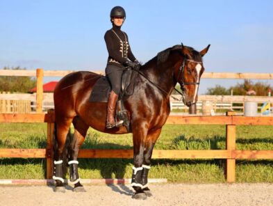 img: Sukces Anny Skrzypek na zawodach working equitation w Czechach