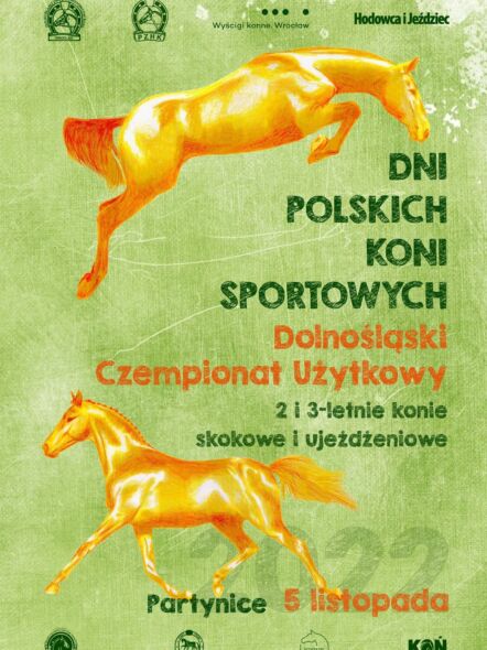img: Finał Wrocławskiej Ligi Hobby Horse